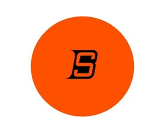 Bluesports Orange Street Hockey Ball 1 Bluesports Orange Street Hockey Ball